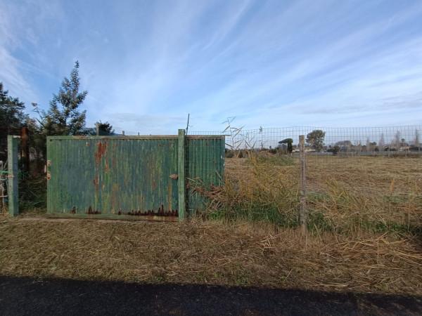 terreno agricolo in vendita a Roma in zona Casal Palocco