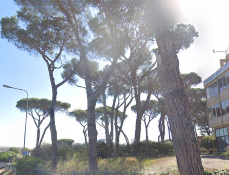 terreno agricolo in vendita a Roma