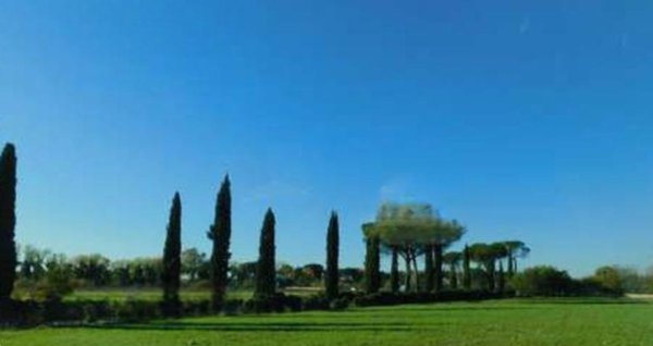 terreno agricolo in vendita a Roma in zona Giardini di Corcolle