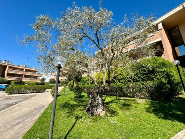 appartamento in vendita a Roma in zona Monte Migliore