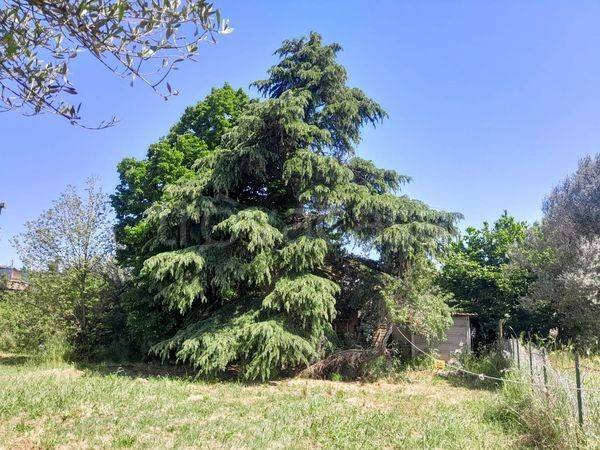 appartamento in vendita a Roma in zona Torre Angela