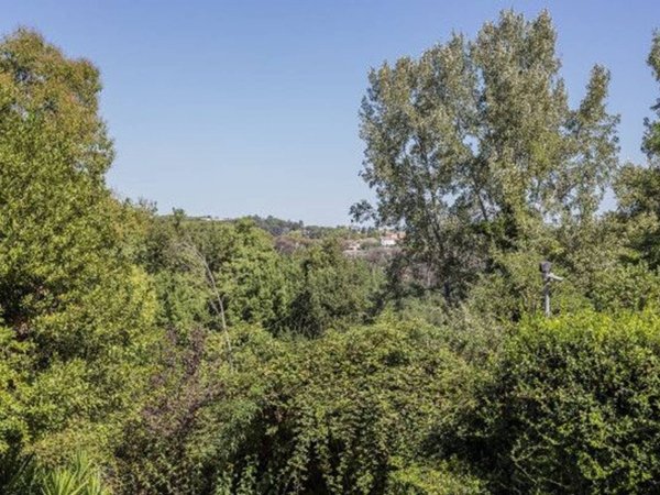 appartamento in vendita a Roma in zona Trionfale