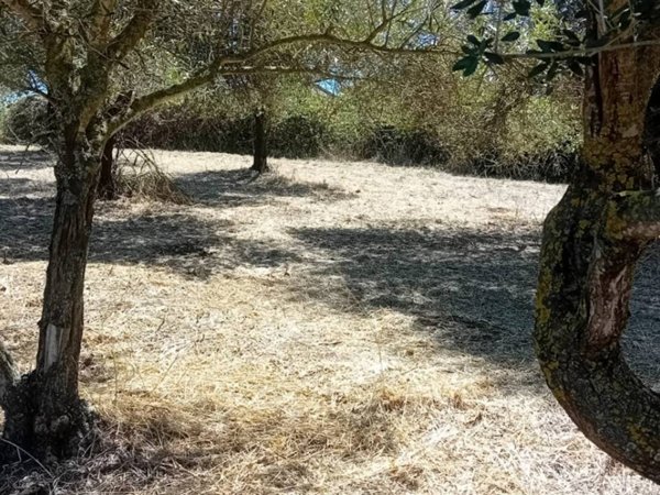 terreno agricolo in vendita a Roma in zona Trigoria