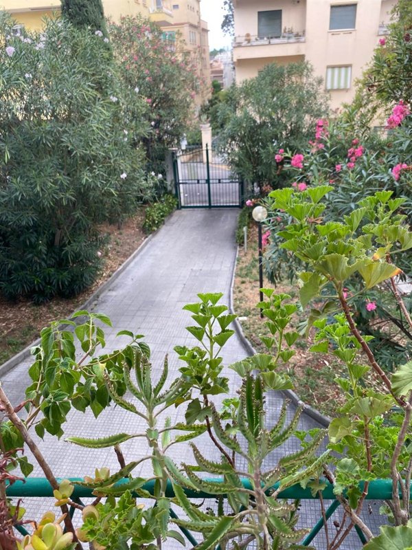 appartamento in vendita a Roma in zona Monte Sacro/Talenti