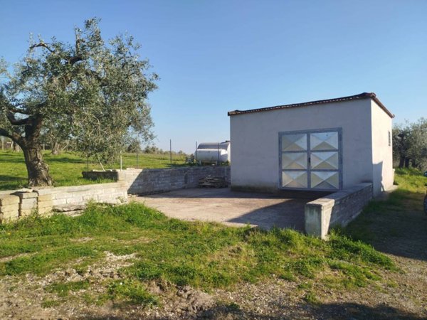 terreno agricolo in vendita a Roma in zona Trigoria