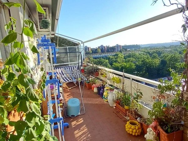 appartamento in vendita a Roma in zona Monte Sacro/Talenti