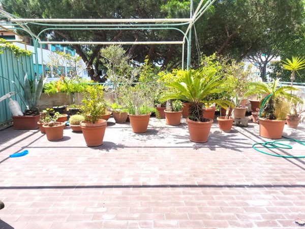 appartamento in vendita a Roma in zona Casal Palocco