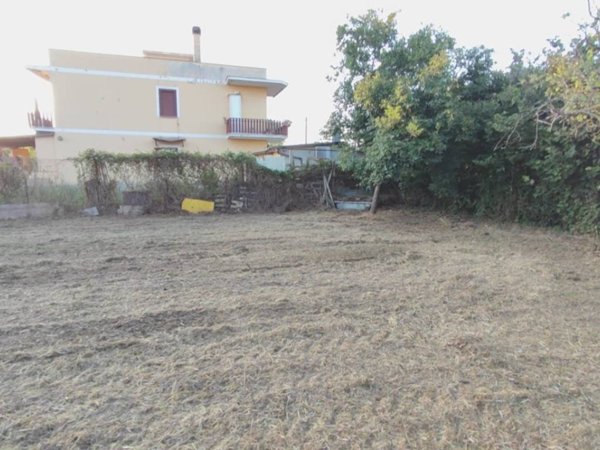 terreno agricolo in vendita a Roma in zona Finocchio