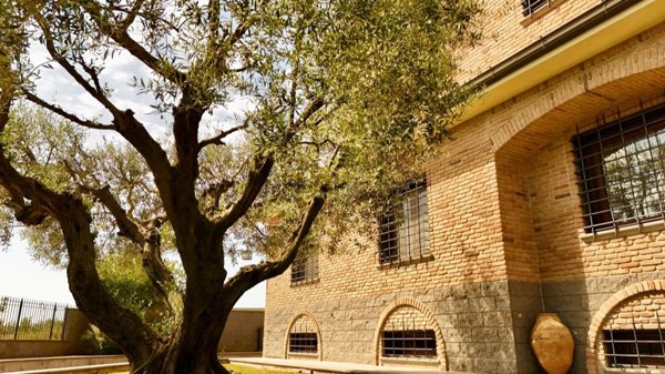 casa indipendente in vendita a Roma in zona Dragona/Bagnoletto
