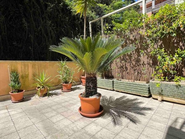 appartamento in vendita a Roma in zona Della Vittoria