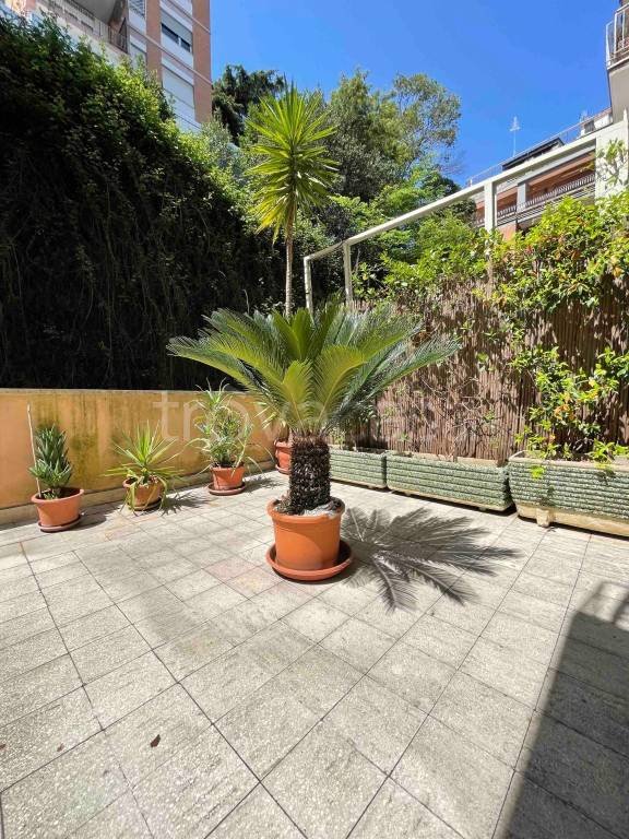 appartamento in vendita a Roma in zona Parioli