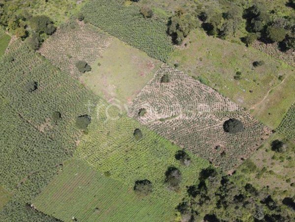 terreno agricolo in vendita a Roma in zona Tor di Quinto