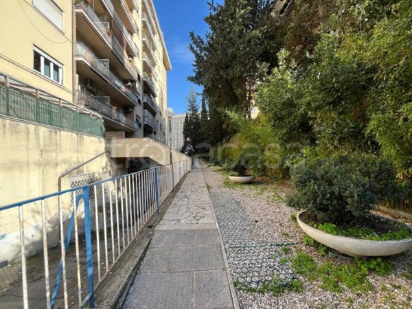 appartamento in vendita a Roma in zona Giuliano Dalmata