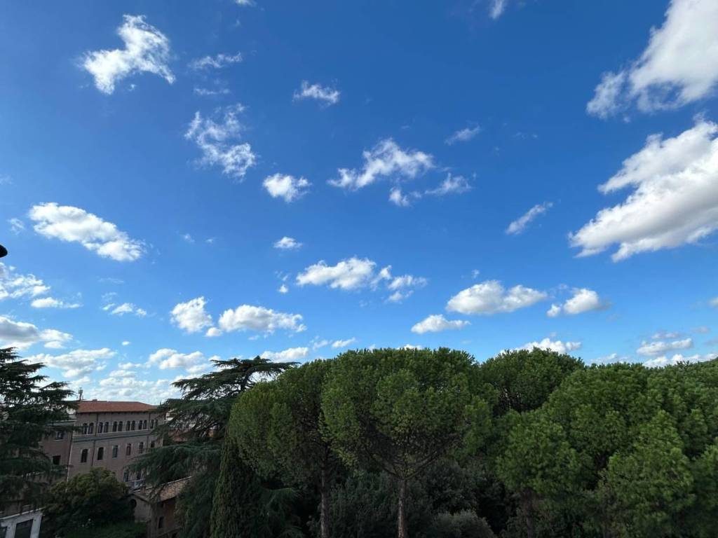 appartamento in vendita a Roma in zona Salario