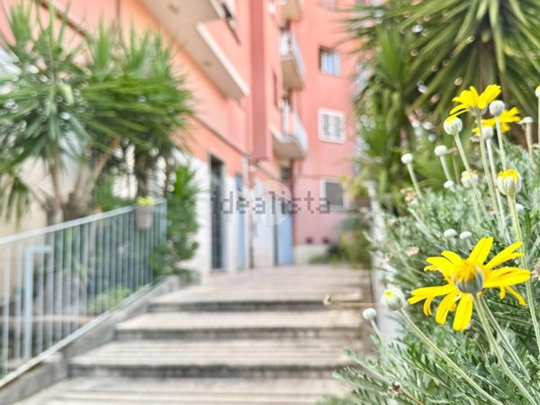 appartamento in vendita a Roma in zona Monte Sacro/Talenti
