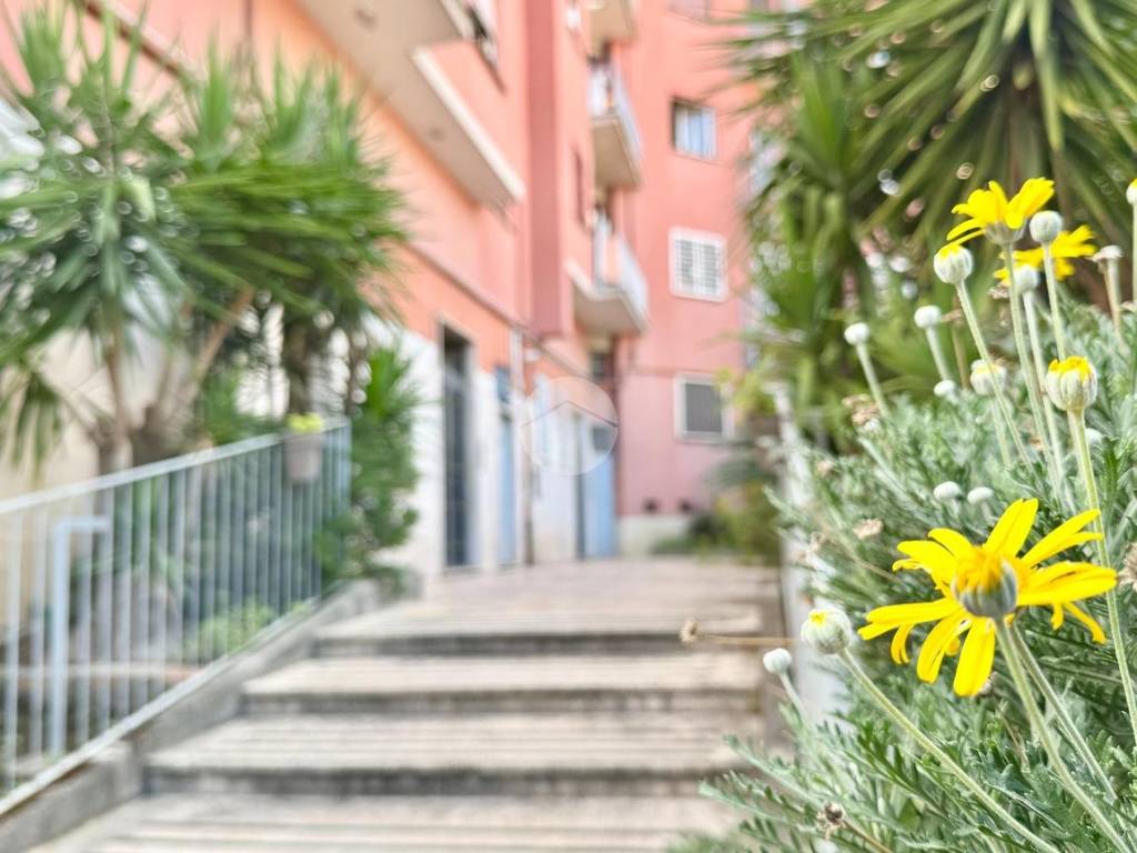 appartamento in vendita a Roma in zona Monte Sacro/Talenti