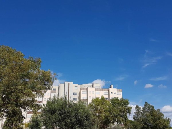 appartamento in vendita a Roma in zona Castel Fusano