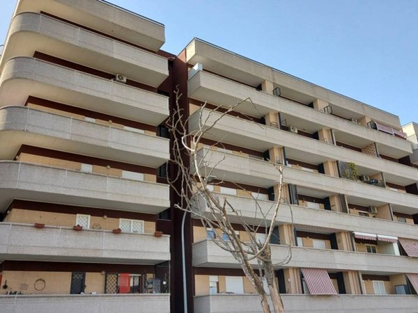 appartamento in vendita a Roma in zona Casal Boccone