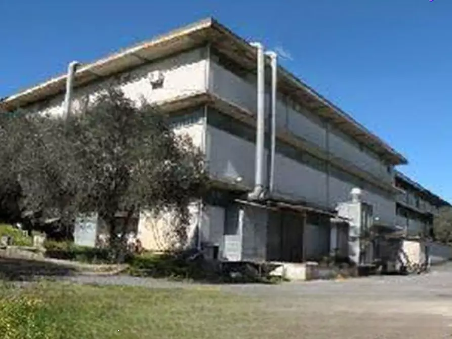 appartamento in vendita a Roma in zona Trigoria