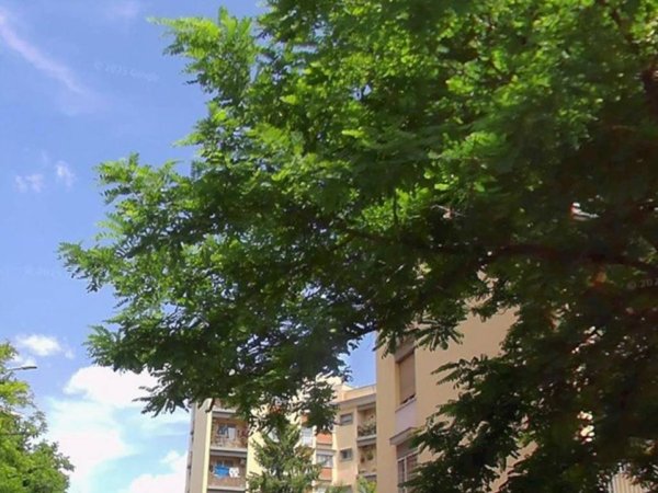 appartamento in vendita a Roma in zona Ostiense