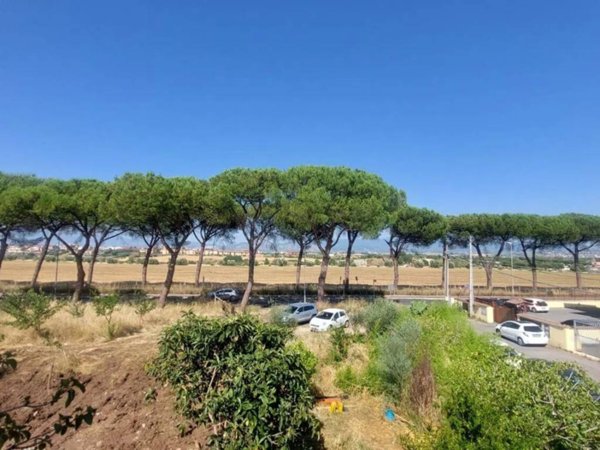 appartamento in vendita a Roma in zona Lunghezza