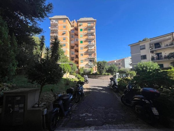 appartamento in vendita a Roma in zona Monte Sacro/Talenti