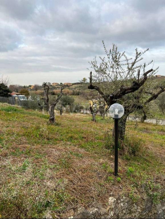 terreno agricolo in vendita a Roma in zona Casal Morena