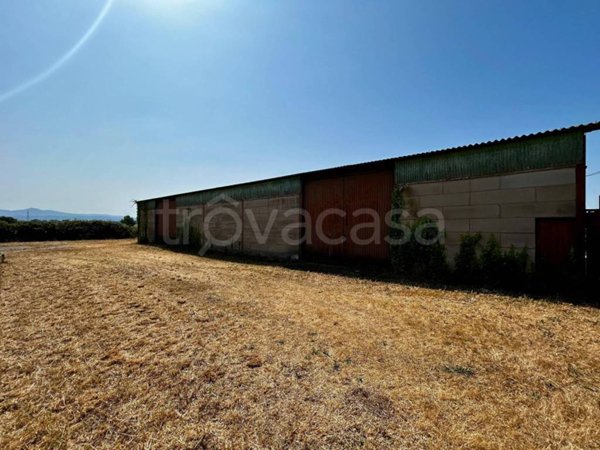 casa indipendente in vendita a Roma in zona Trigoria