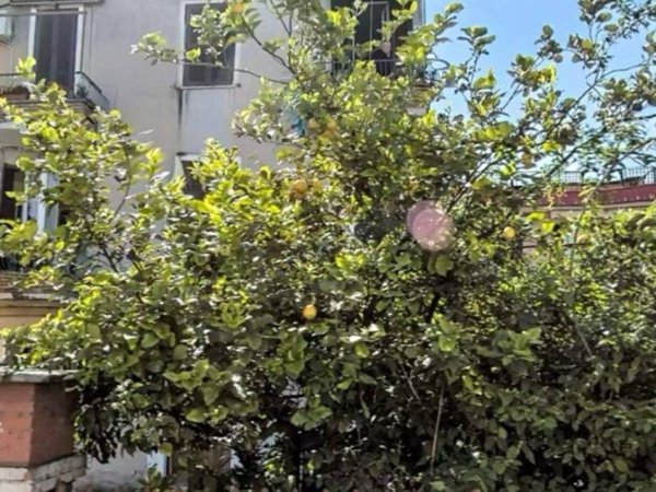 appartamento in vendita a Roma in zona Tor Sapienza