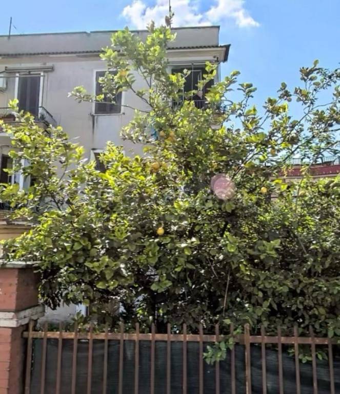 appartamento in vendita a Roma in zona Alessandrino