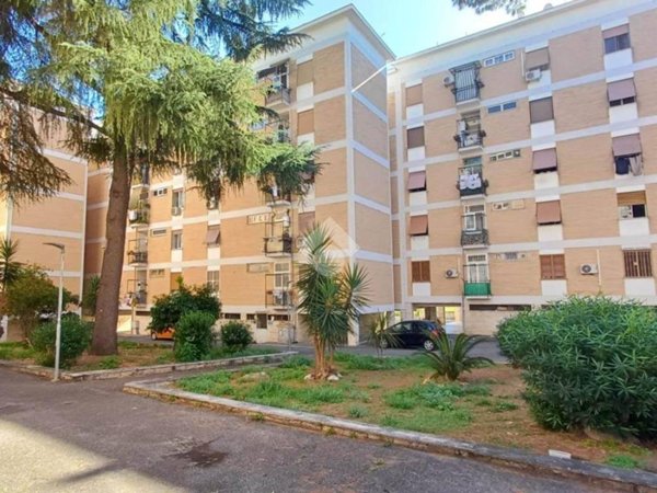 appartamento in vendita a Roma in zona Pietralata