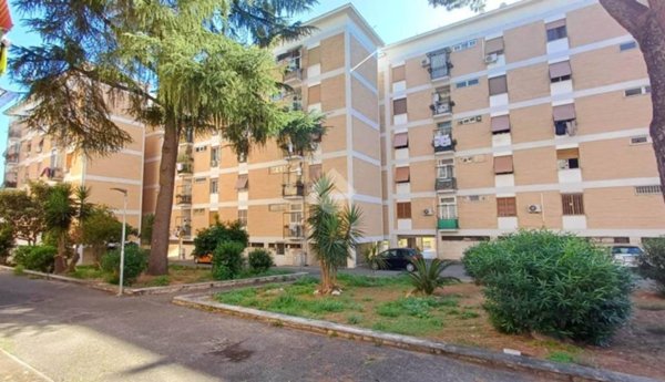 appartamento in vendita a Roma in zona Pietralata