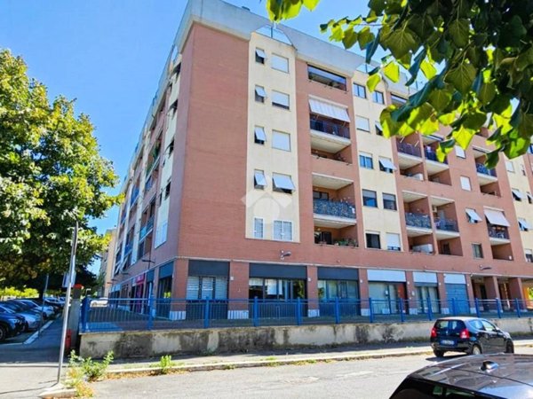 negozio in vendita a Roma in zona Tor Vergata/Torrenova