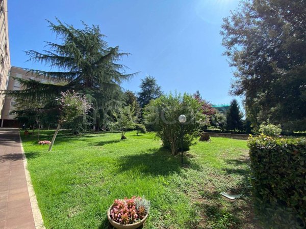 appartamento in vendita a Roma in zona Monte Sacro/Talenti