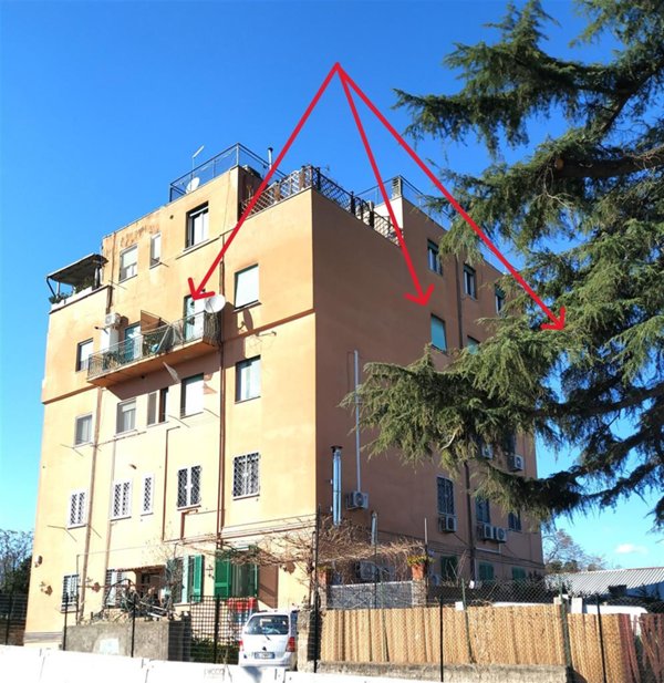 appartamento in vendita a Roma in zona Pietralata