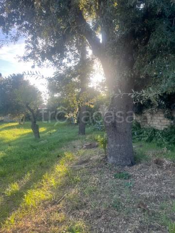 terreno agricolo in vendita a Roma in zona Infernetto