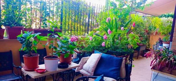 appartamento in vendita a Roma in zona La Giustiniana