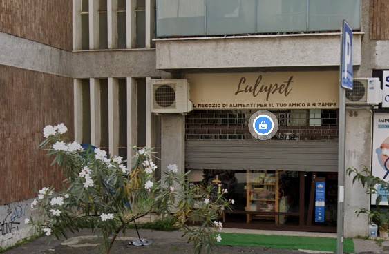 negozio in vendita a Roma in zona Monte Sacro/Talenti