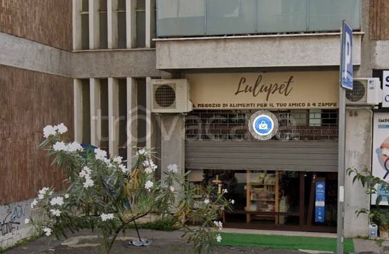 negozio in vendita a Roma in zona Monte Sacro/Talenti