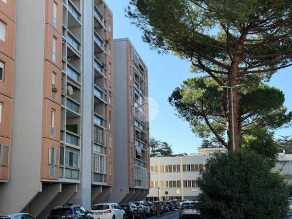 appartamento in vendita a Roma in zona Collatino
