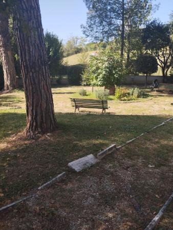 appartamento in vendita a Roma in zona Monte Sacro/Talenti