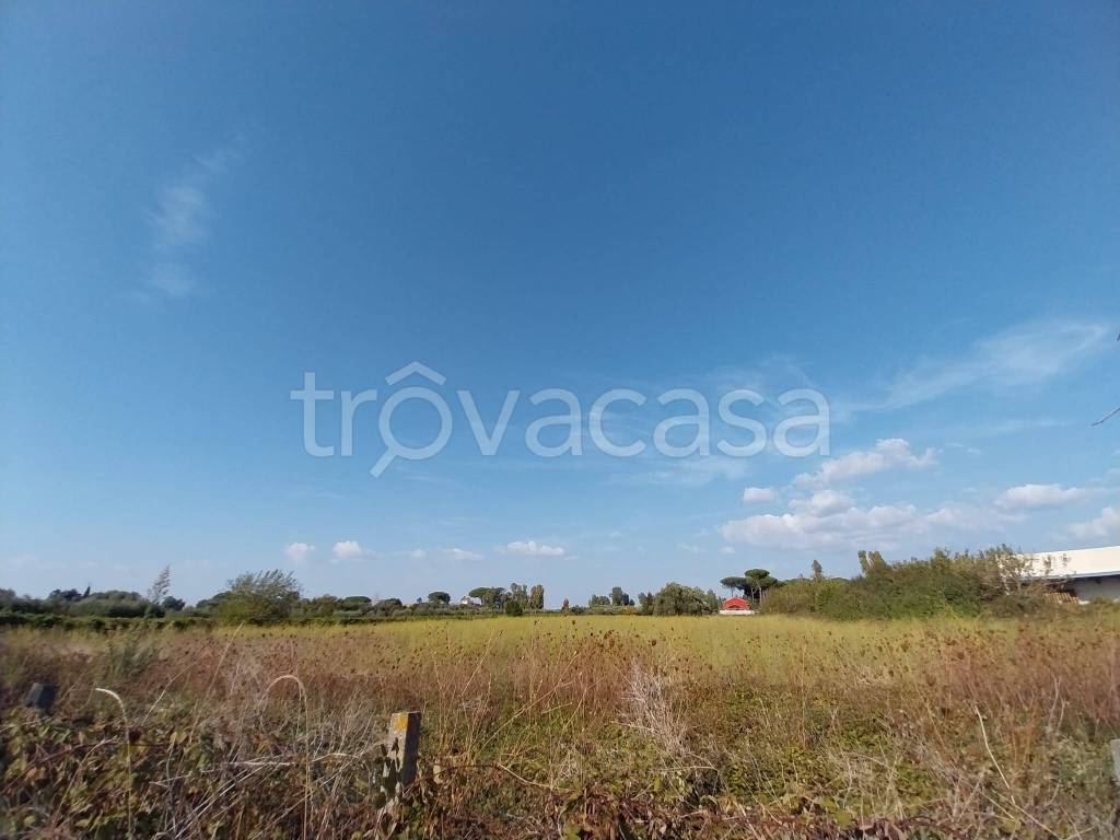 terreno agricolo in vendita a Roma