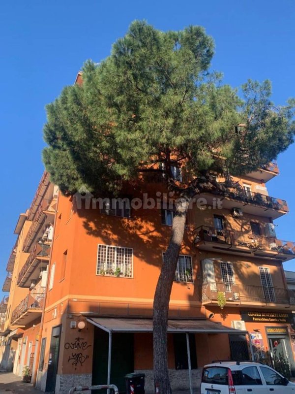 appartamento in vendita a Roma in zona Tor Sapienza