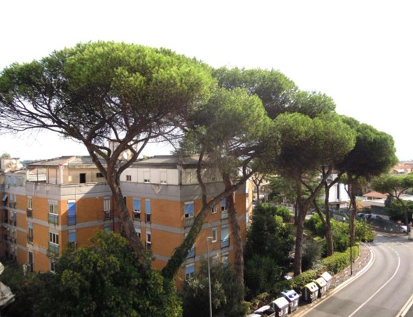 appartamento in vendita a Roma in zona Tomba di Nerone