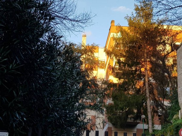appartamento in vendita a Roma in zona Della Vittoria