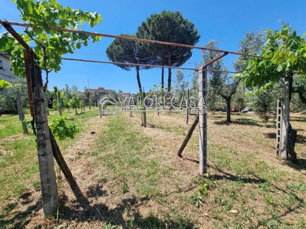 terreno agricolo in vendita a Roma in zona Borghesiana