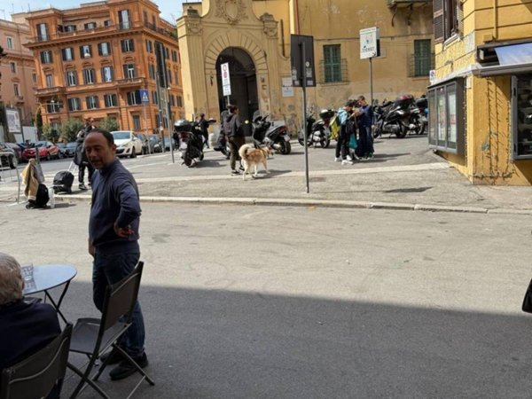 appartamento in vendita a Roma in zona Salario