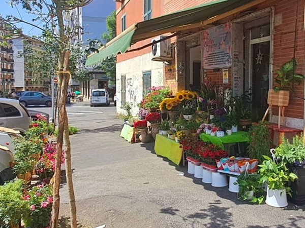 negozio in vendita a Roma in zona Appio Latino