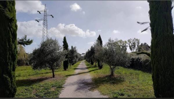 casa indipendente in vendita a Roma in zona Torrino