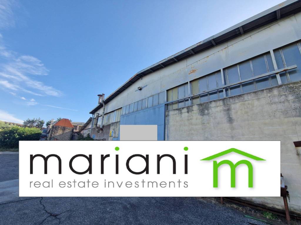 negozio in vendita a Roma in zona Torre Angela